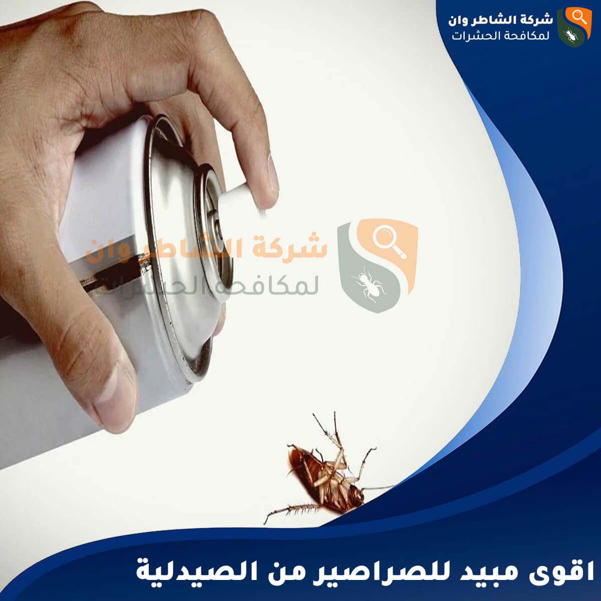 قبل مكافحة الصراصير بالمبيدات: دليل شامل للوقاية والتعامل