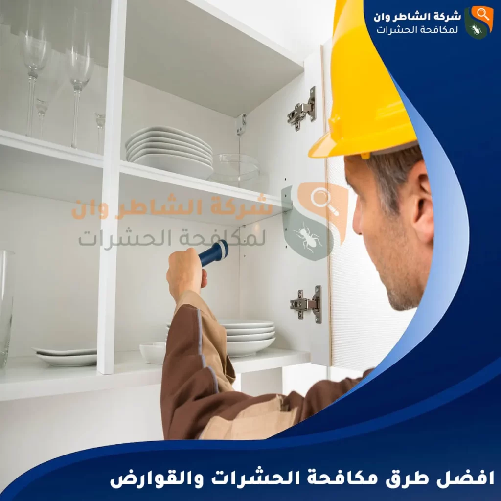 افضل طرق مكافحة الحشرات والقوارض