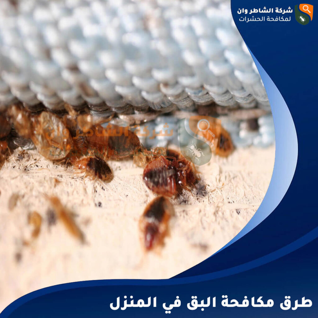 طرق مكافحة البق في المنزل