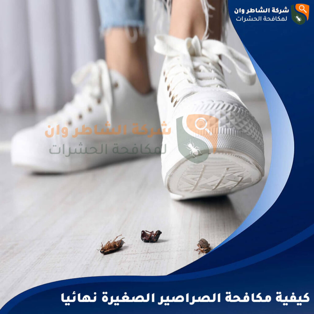 كيفية مكافحة الصراصير الصغيرة نهائيا