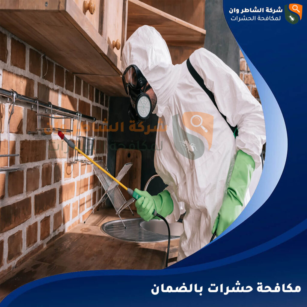 مكافحة حشرات بالضمان