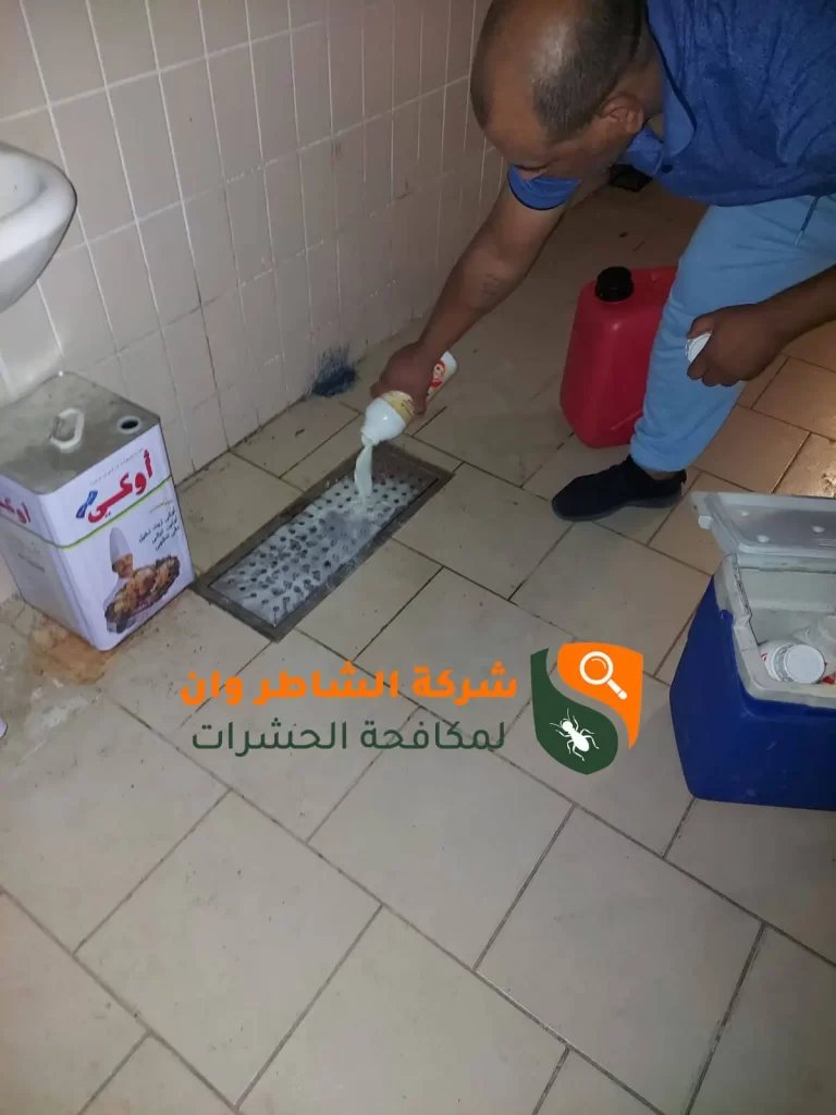 شركة رش مبيدات