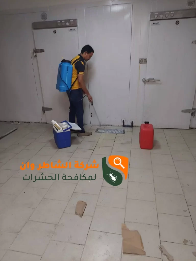 مكافحة حشرات