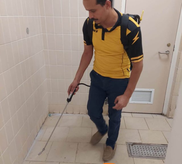 شركة مكافحة شركة مكافحة